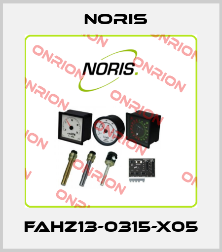 FAHZ13-0315-X05 Noris