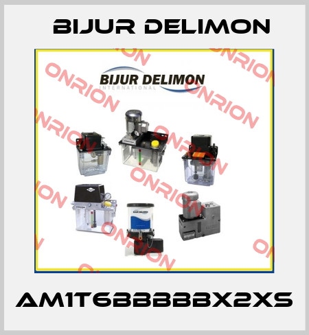 AM1T6BBBBBX2XS Bijur Delimon