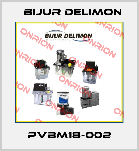 PVBM18-002 Bijur Delimon