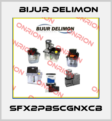 SFX2PBSCGNXCB Bijur Delimon
