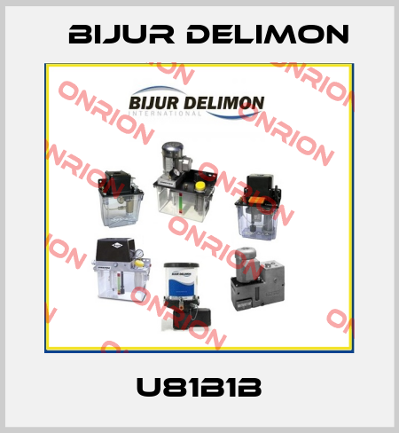 U81B1B Bijur Delimon