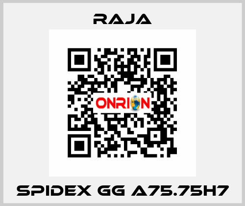 SPIDEX GG A75.75H7 Raja