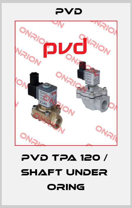 PVD TPA 120 /  Shaft Under  Oring Pvd