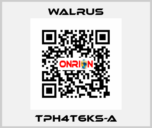 TPH4T6KS-A Walrus