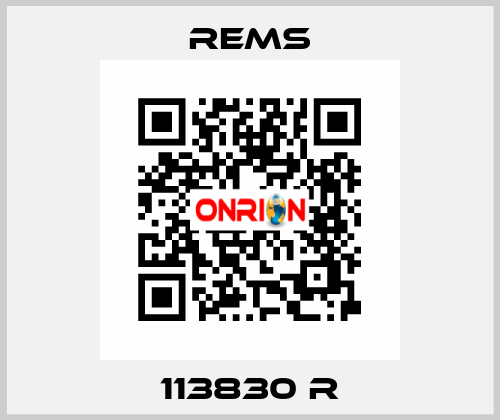 113830 R Rems