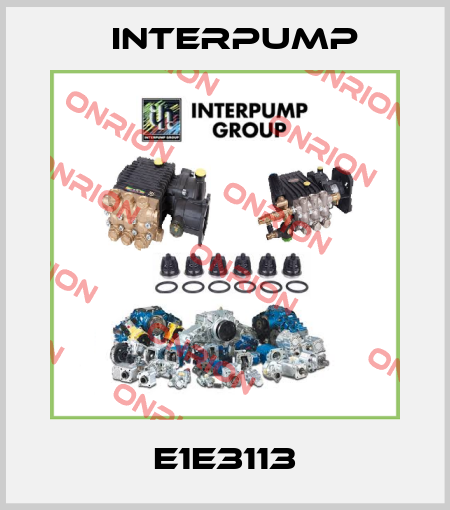 E1E3113 Interpump