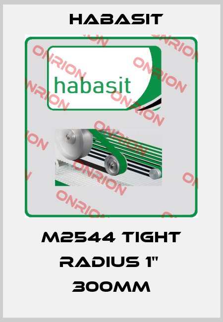 M2544 Tight Radius 1"  300mm Habasit