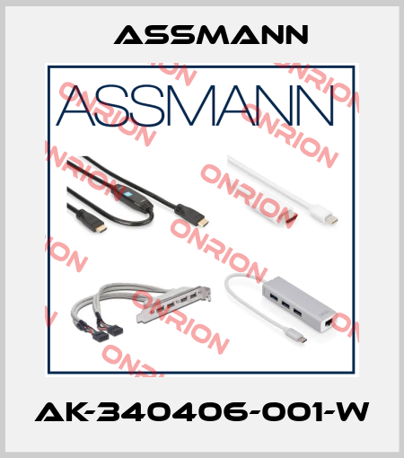 AK-340406-001-W Assmann