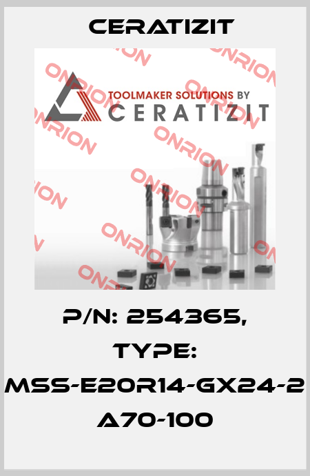 P/N: 254365, Type: MSS-E20R14-GX24-2 A70-100 Ceratizit