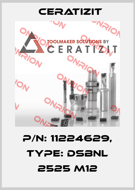 P/N: 11224629, Type: DSBNL 2525 M12 Ceratizit