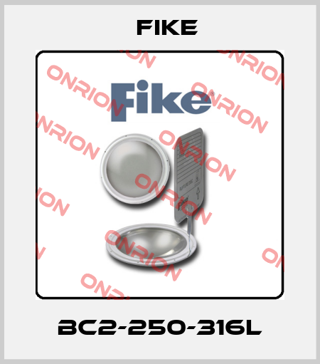 BC2-250-316L FIKE