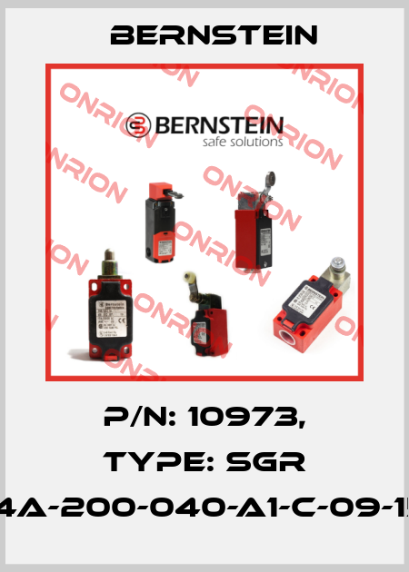 P/N: 10973, Type: SGR 14a-200-040-A1-C-09-15 Bernstein
