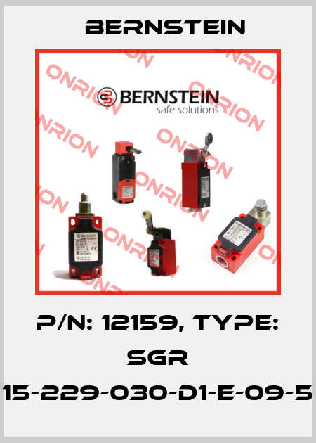 P/N: 12159, Type: SGR 15-229-030-D1-E-09-5 Bernstein