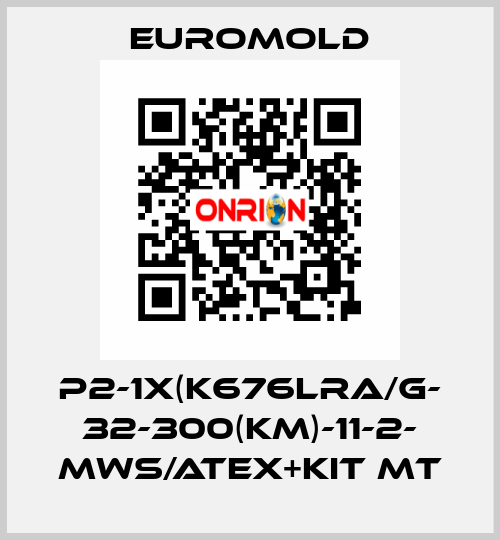 P2-1x(K676LRA/G- 32-300(KM)-11-2- MWS/ATEX+KIT MT EUROMOLD