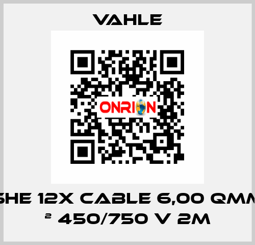 SHE 12x Cable 6,00 Qmm ² 450/750 V 2m Vahle