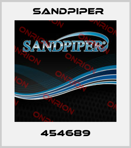 454689 Sandpiper