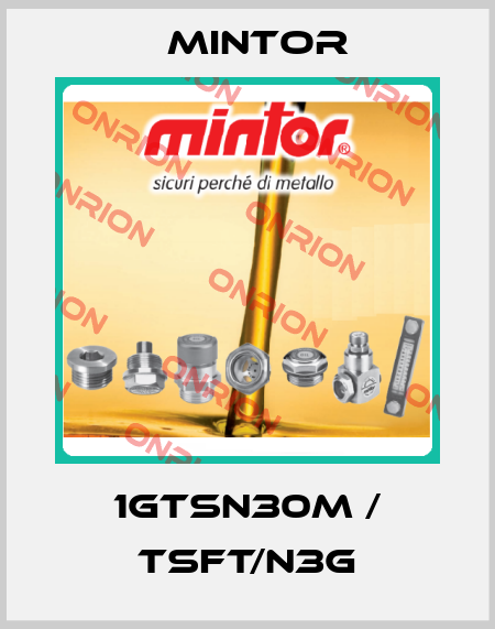 1GTSN30M / TSFT/N3G Mintor