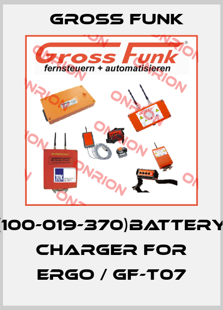 (100-019-370)Battery charger for ergo / GF-T07 Gross Funk