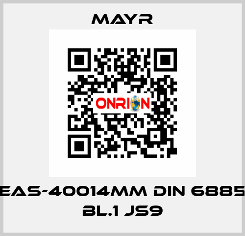 EAS-40014MM DIN 6885 BL.1 JS9 Mayr