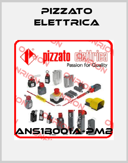 ANS1B001A-PM2 Pizzato Elettrica