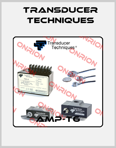 AMP-T6 Transducer Techniques