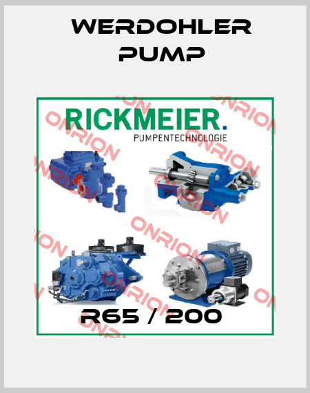 R65 / 200  Werdohler Pump
