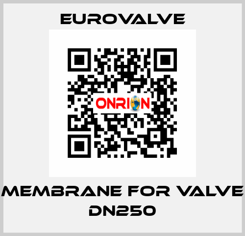 membrane for valve DN250 Eurovalve