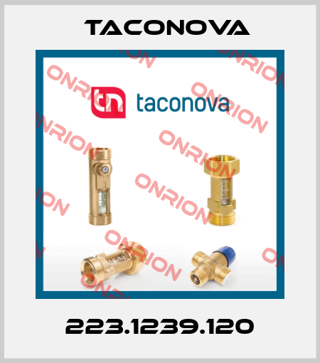 223.1239.120 Taconova