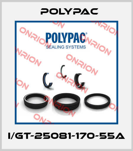 I/GT-25081-170-55A Polypac