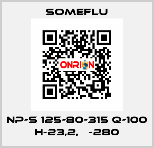 NP-S 125-80-315 Q-100 H-23,2, Ф-280 SOMEFLU