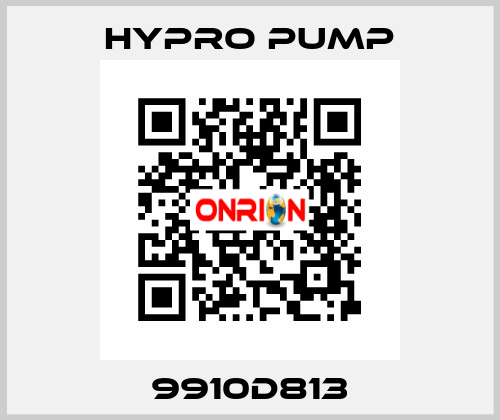 9910D813 Hypro Pump