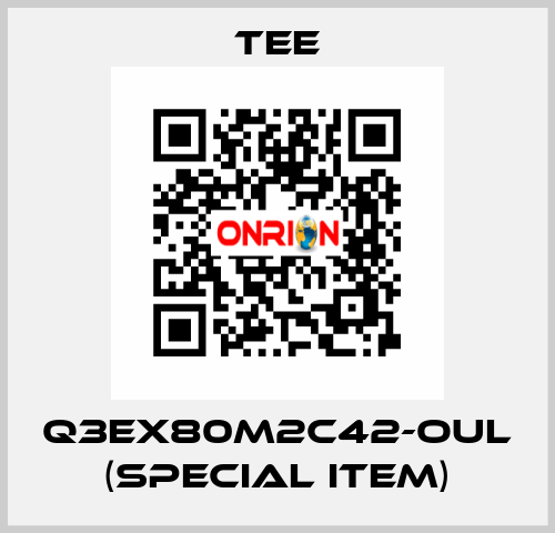 Q3EX80M2C42-OUL (special item) TEE