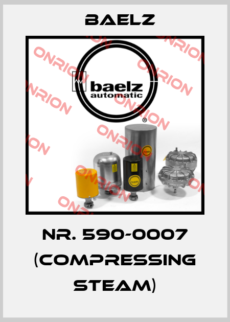 Nr. 590-0007 (Compressing Steam) Baelz