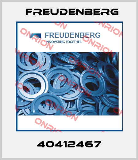 40412467 Freudenberg