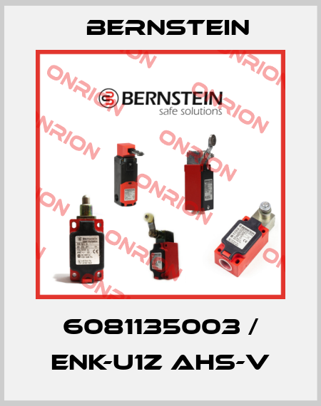 6081135003 / ENK-U1Z AHS-V Bernstein
