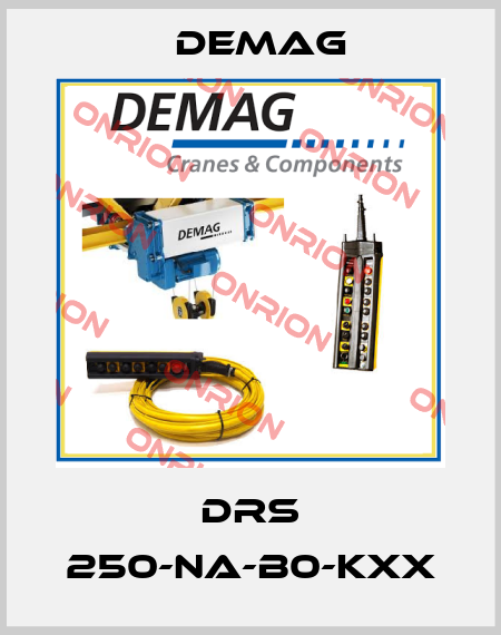 DRS 250-NA-B0-KXX Demag