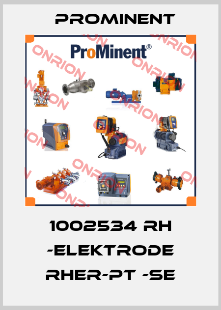 1002534 RH -Elektrode RHER-Pt -SE ProMinent