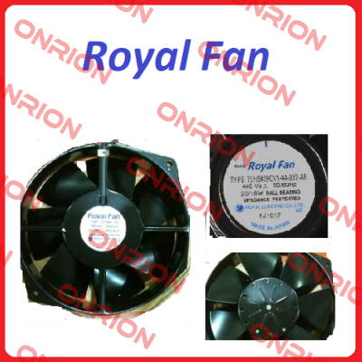 ROYAL/ROY -OM51005  Royal