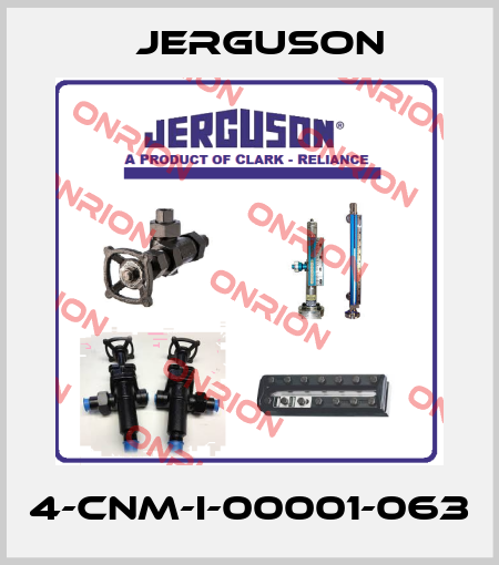 4-CNM-I-00001-063 Jerguson