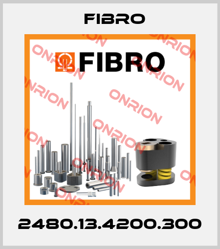 2480.13.4200.300 Fibro