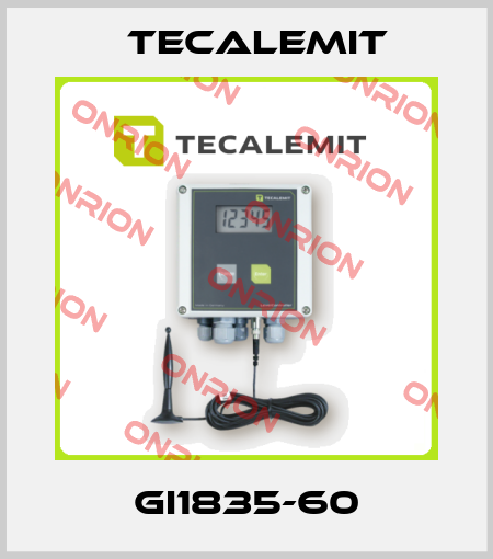 GI1835-60 Tecalemit