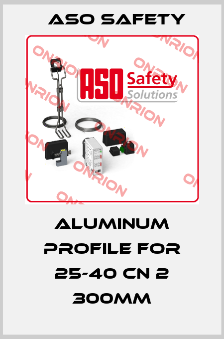 aluminum profile for 25-40 CN 2 300mm ASO SAFETY
