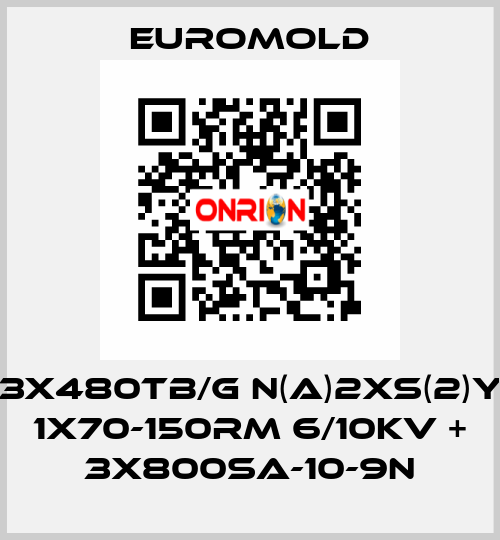 3x480TB/G N(A)2XS(2)Y 1X70-150RM 6/10KV + 3x800SA-10-9N EUROMOLD