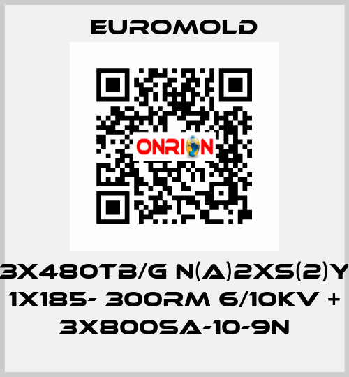 3x480TB/G N(A)2XS(2)Y 1X185- 300RM 6/10KV + 3x800SA-10-9N EUROMOLD