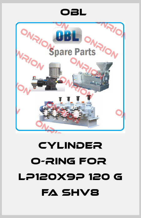 Cylinder O-ring for  LP120X9P 120 G FA SHV8 Obl