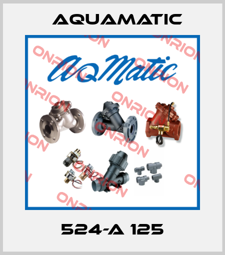  524-A 125 AquaMatic