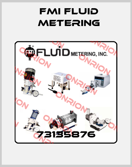 73135876 FMI Fluid Metering