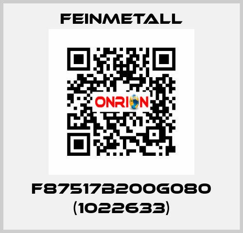 F87517B200G080 (1022633) FEINMETALL