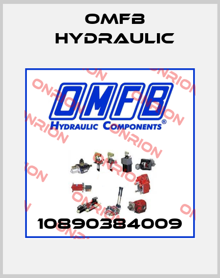 10890384009 OMFB Hydraulic