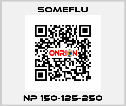 NP 150-125-250 SOMEFLU